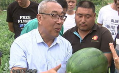 吃瓜网加州博士,揭秘吃瓜网背后的科技与智慧