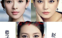 明星照,明星照中的蜕变与魅力展现