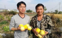 潮阳群众吃瓜网,揭秘潮阳本土热点事件，带你领略潮阳生活百态