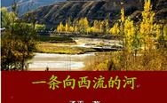 泉水向西流打一字,泉水向西流之谜
