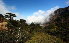 轿子雪山,轿子雪山的自然奇观与人文风情”