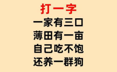 自己打一字,探索汉字魅力与创意表达