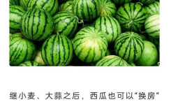 吃瓜群众报道网,网络舆论场中的“瓜田”观察