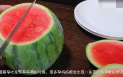 吃瓜怀孕网红,吃瓜群众围观孕期热点事件