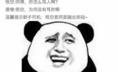 搞笑图片大全大图恶搞,搞笑图片大全大图恶搞精选