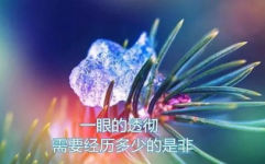 最火的短句,最火短句中的生活哲理