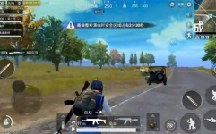 刺激战场四排小姐姐名字,刺激战场中的独特风采
