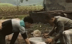 成年人幽默搞笑图片gif,成年人搞笑GIF集锦，欢乐无限！