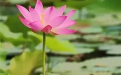 100句精辟的人生格言,照亮前行之路