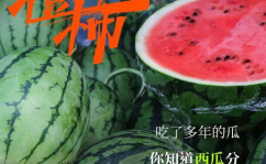 神秘吃瓜网红,揭秘网络红人的幕后故事