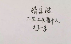自己打一字,探索汉字魅力与创意表达