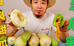 吃瓜网红ing,如何打造热门吃瓜群，实现流量变现