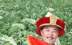 瓜农吃瓜网院长,揭秘瓜农背后的故事与智慧