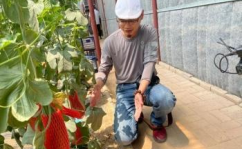 景点吃瓜网红,与家人买瓜解暑，温馨互动感动网友”
