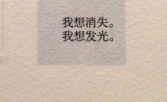 适合发朋友圈的文案,情感共鸣与生活点滴的完美融合