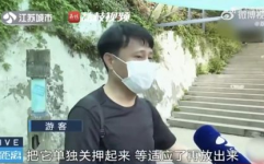 网红吃瓜前线,揭秘娱乐圈幕后故事，带你领略网络热点背后的真相