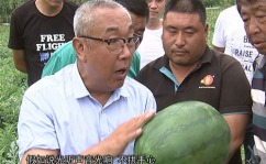 吃瓜网加州博士,揭秘吃瓜网背后的科技与智慧