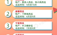 吃瓜网推广码,畅享优惠新体验！