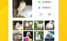 闪萌表情图片大全,海量趣味动图，轻松斗图聊天必备
